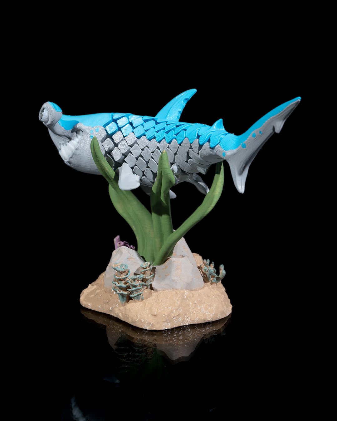 Hamz The Hammerhead Shark