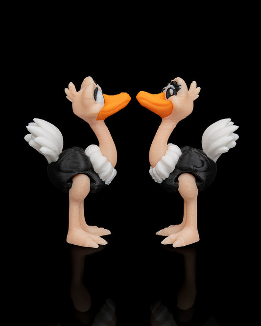 Noah's Arc Ostriches