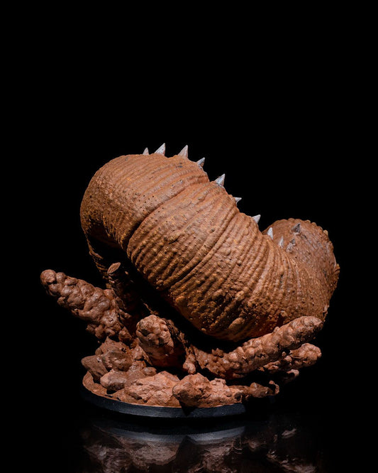 Sandworm Resin Print