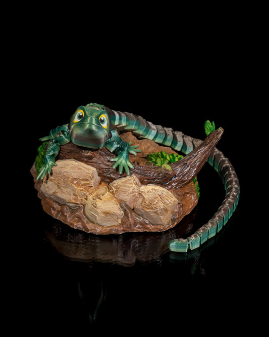 Abronia