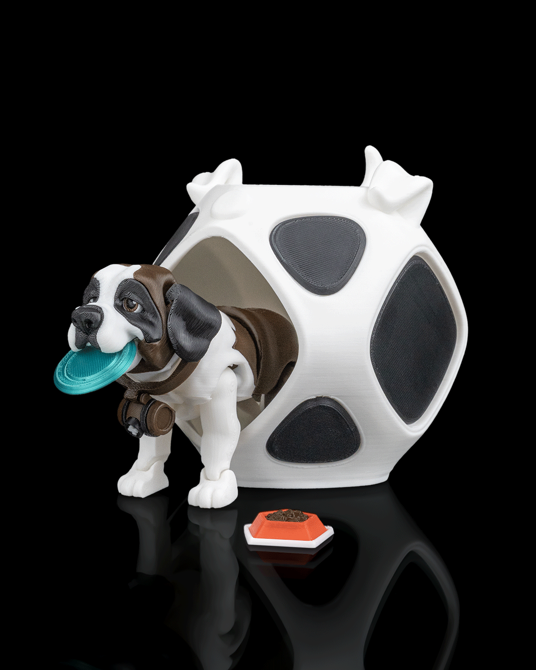 Barry The St Bernard