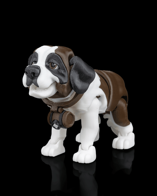 Barry The St Bernard