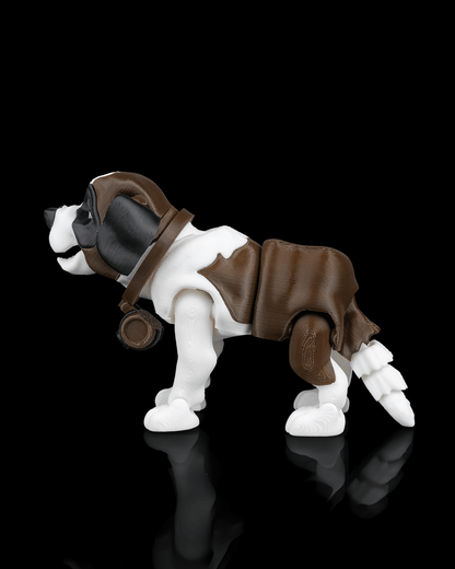 Barry The St Bernard