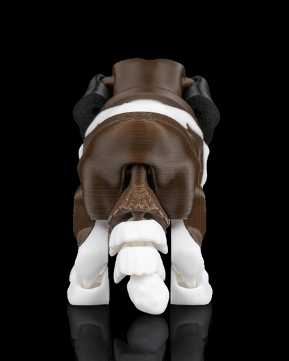 Barry The St Bernard