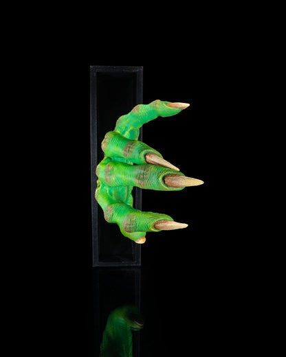 Creeping In Book nook