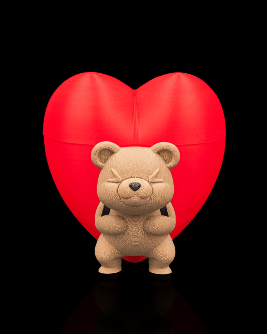 Heart Carrier Container