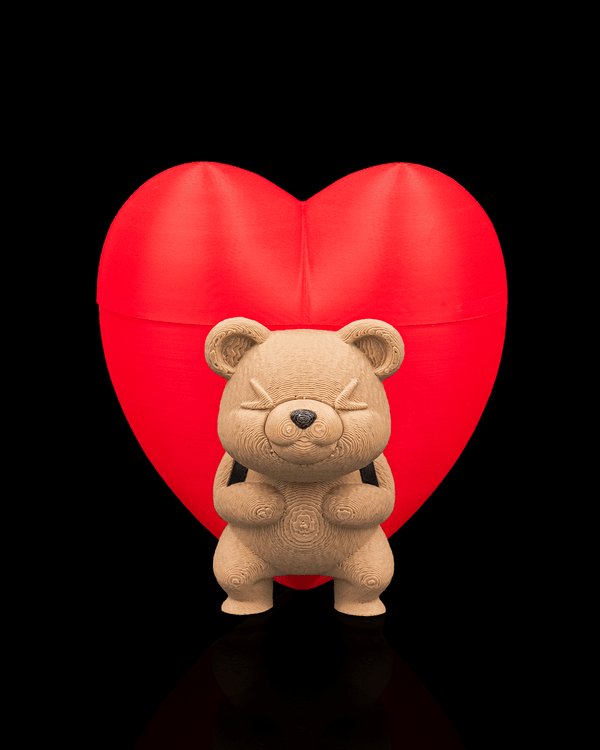 Heart Carrier Container