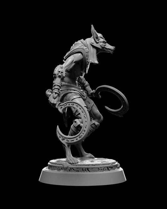 Jackal Worrier Resin Print