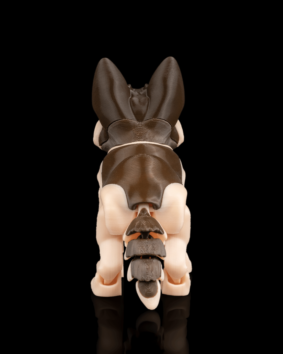 Jerry The German Shepard