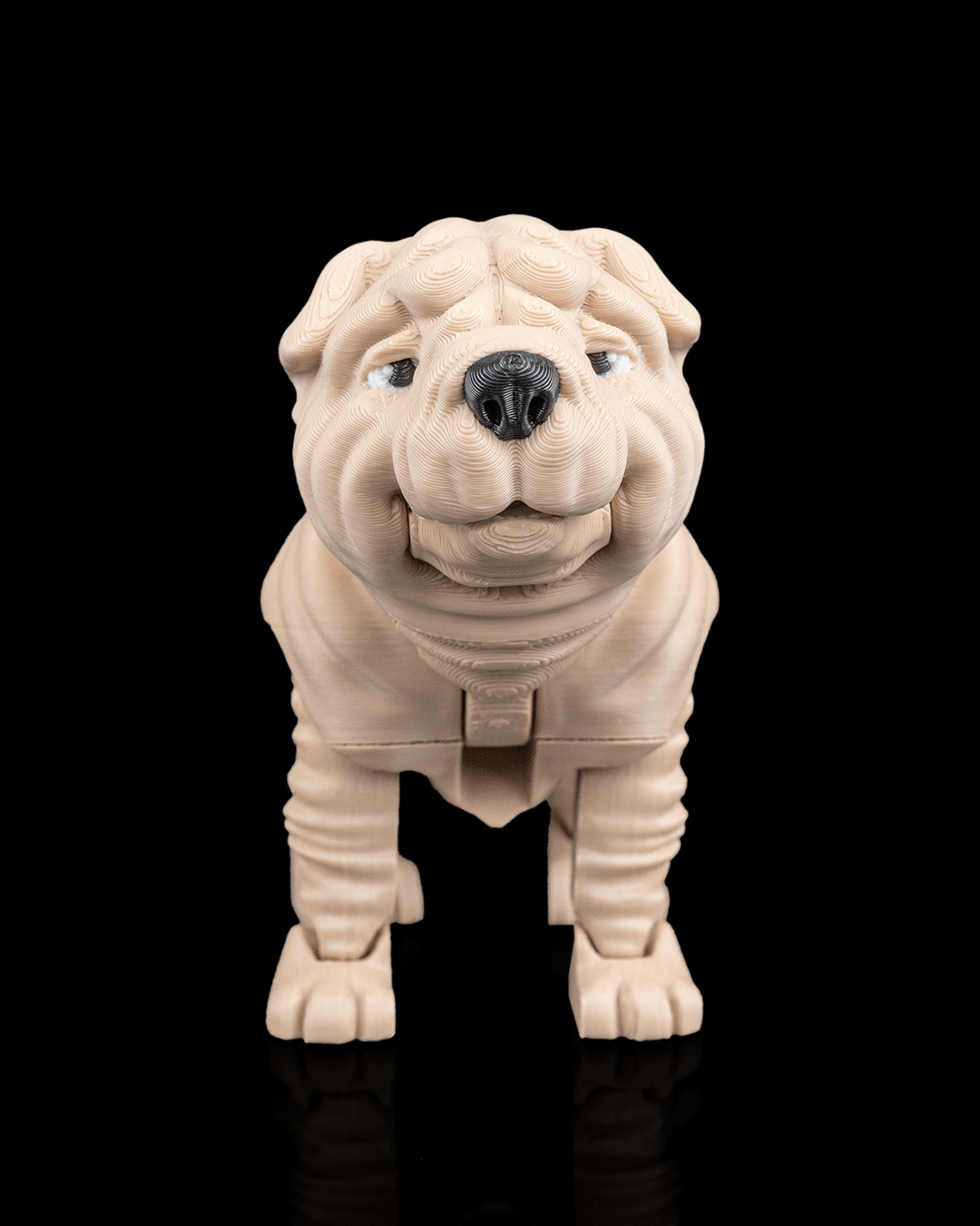Louis The Shar Pei