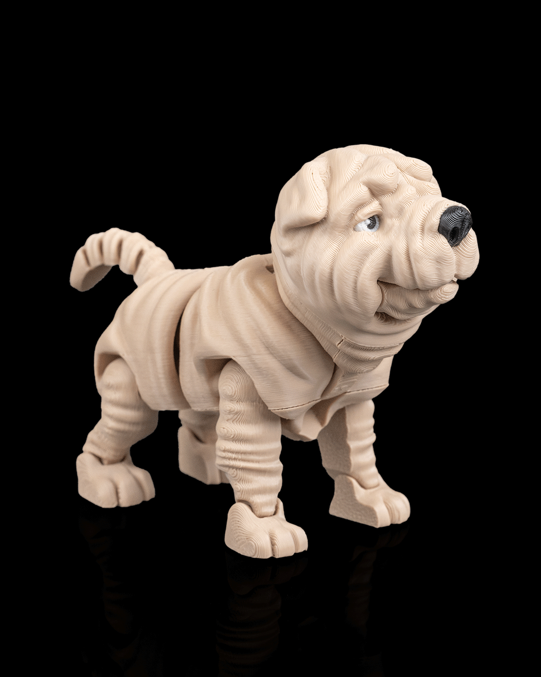 Louis The Shar Pei