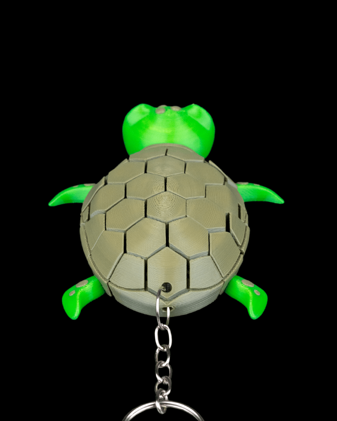 Myrtle the Turtle