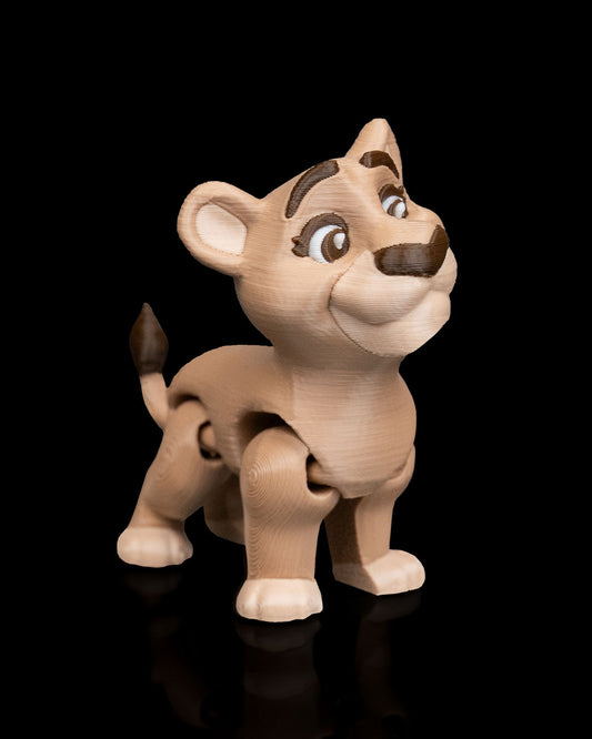 Noah's Arc Lions