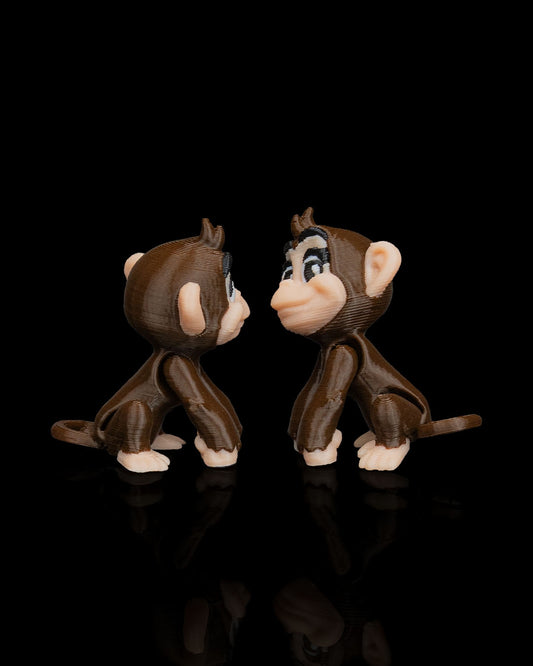 Noah's Arc Monkeys