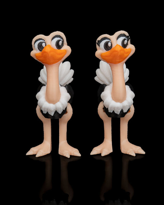 Noah's Arc Ostriches