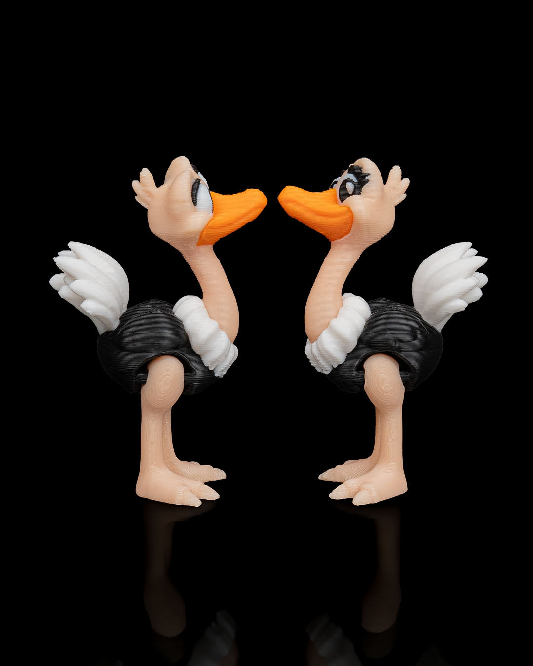 Noah's Arc Ostriches