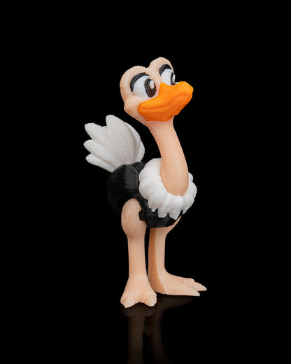 Noah's Arc Ostriches