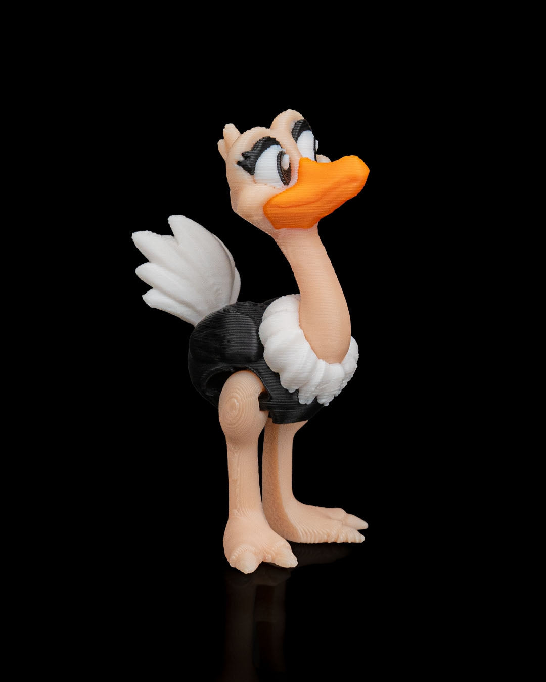 Noah's Arc Ostriches