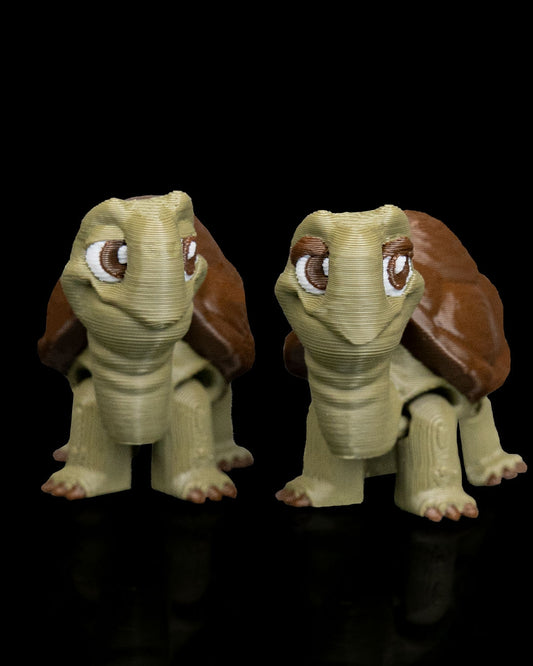 Noah's Arc  Tortoise