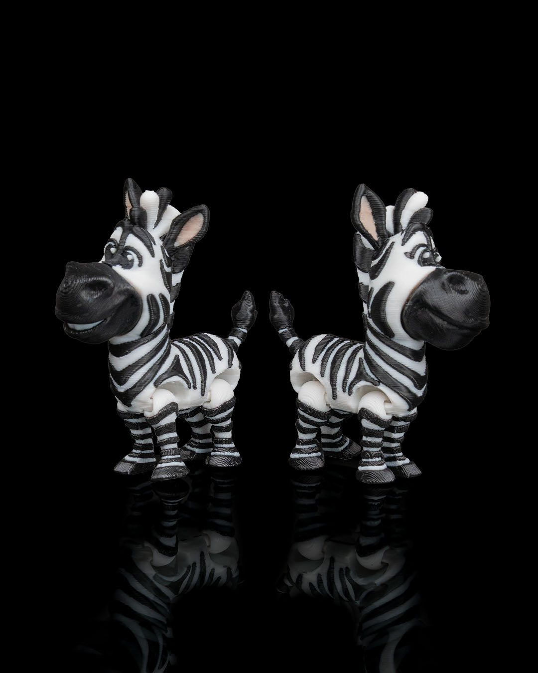 Noah's Arc Zebra's