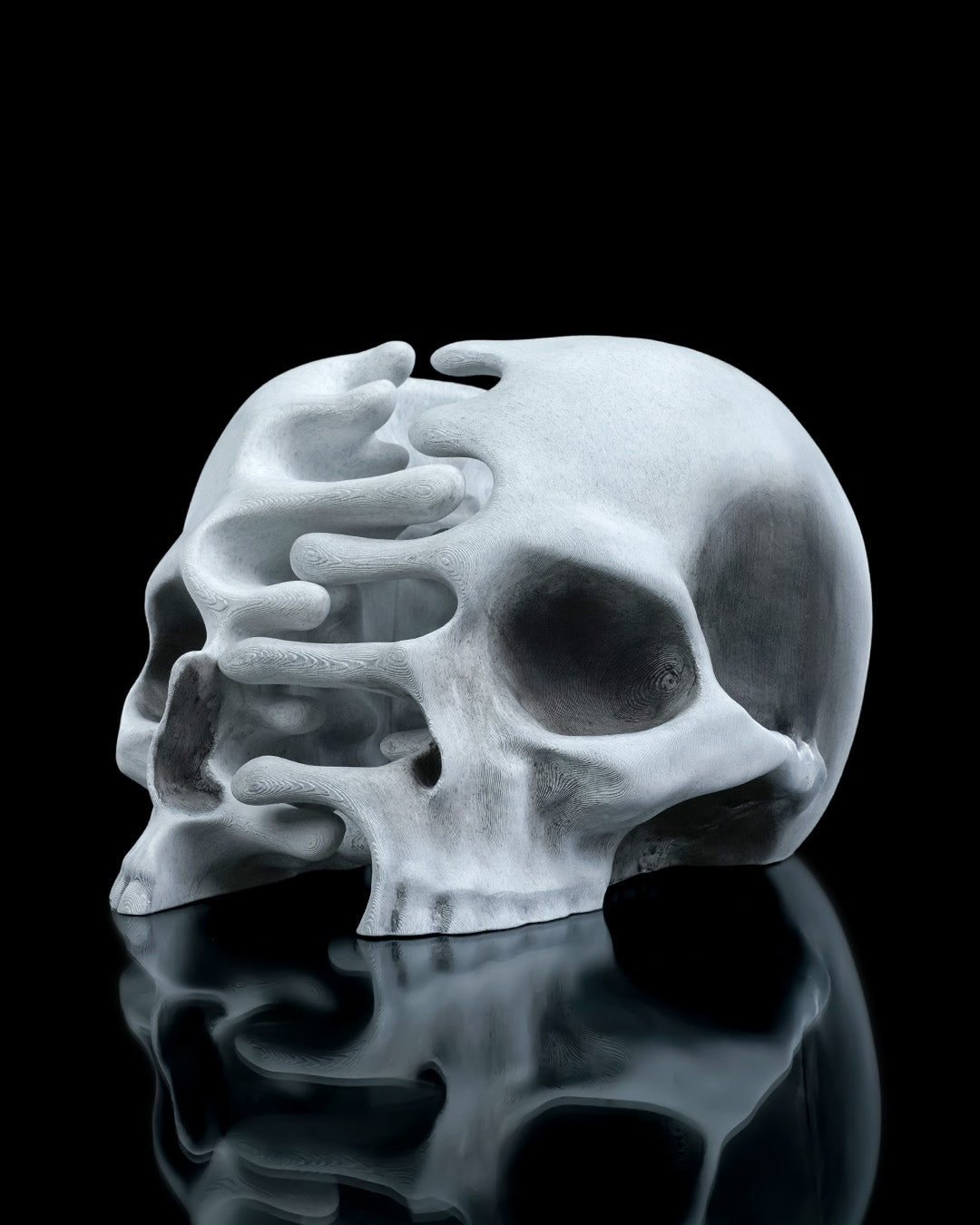 RI-P Skull