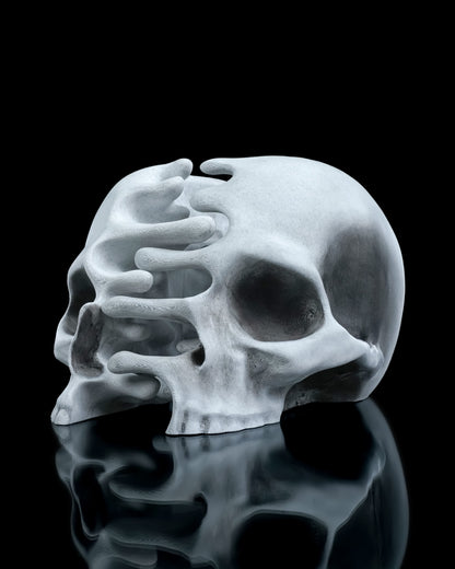 RI-P Skull