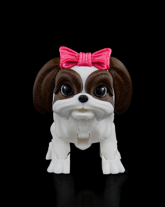 Rachel The Shih Tzu