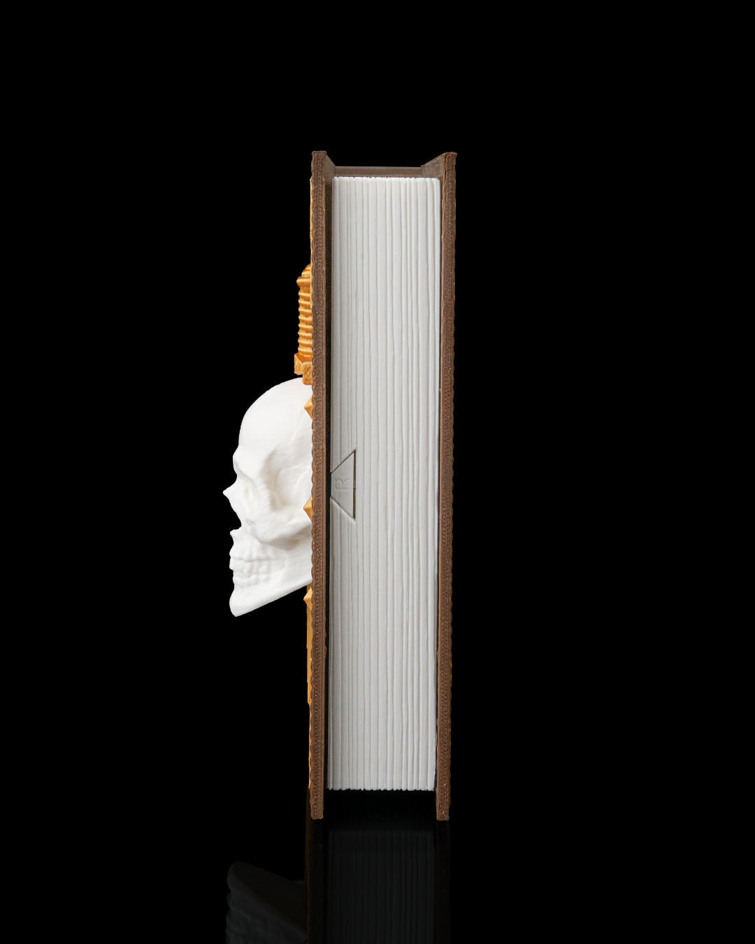 Slayers Codex Dice Book