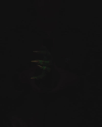 Creeping In Book nook