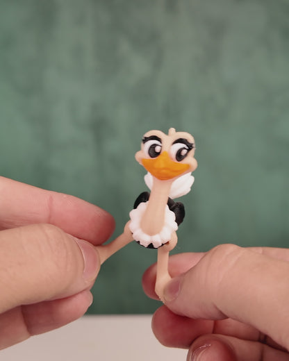 Noah's Arc Ostriches