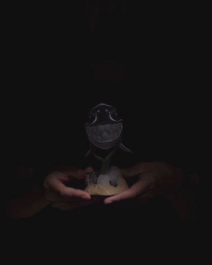 Travis The White Shark