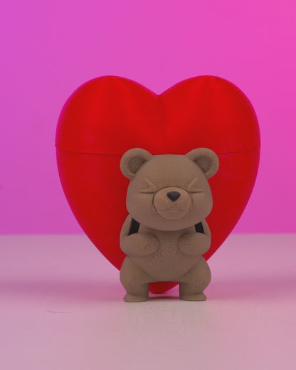 Heart Carrier Container