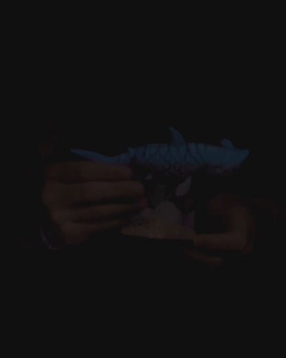 Hamz The Hammerhead Shark